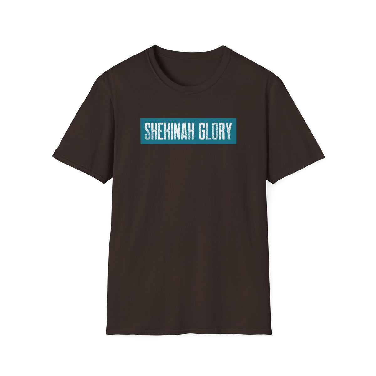 Shekinah Glory T-shirt - banner